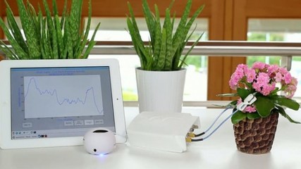 智能產(chǎn)品Phytl Sign:一款翻譯植物語的產(chǎn)品