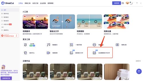 智能識(shí)別與圖像擦除 支持百種語(yǔ)言與API接口的綜合解決方案